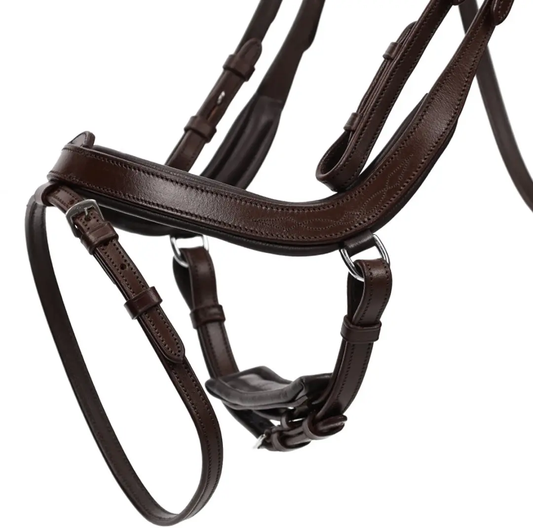 QHP Salerno Hoofdstel - Cob - Bruin