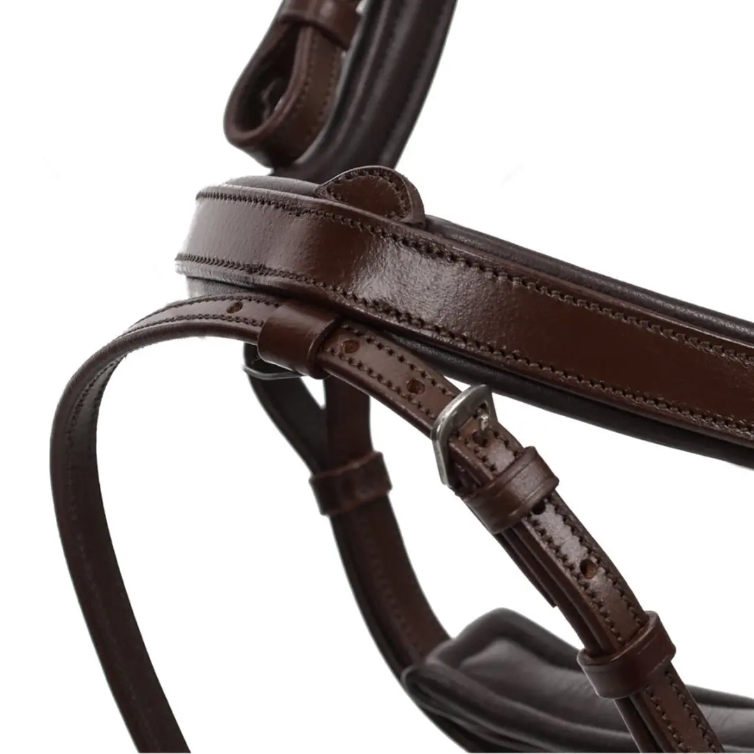 QHP Salerno Hoofdstel - Cob - Bruin