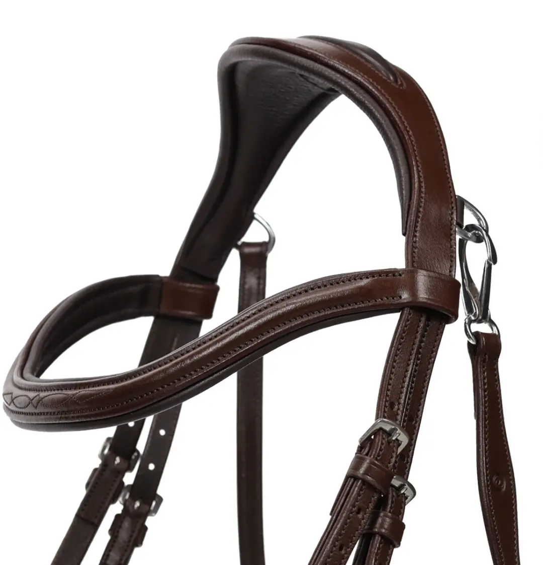 QHP Salerno Hoofdstel - Cob - Bruin