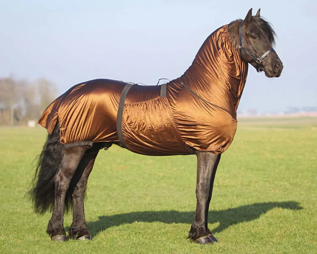 QHP Eczeemdeken Fries Bruin