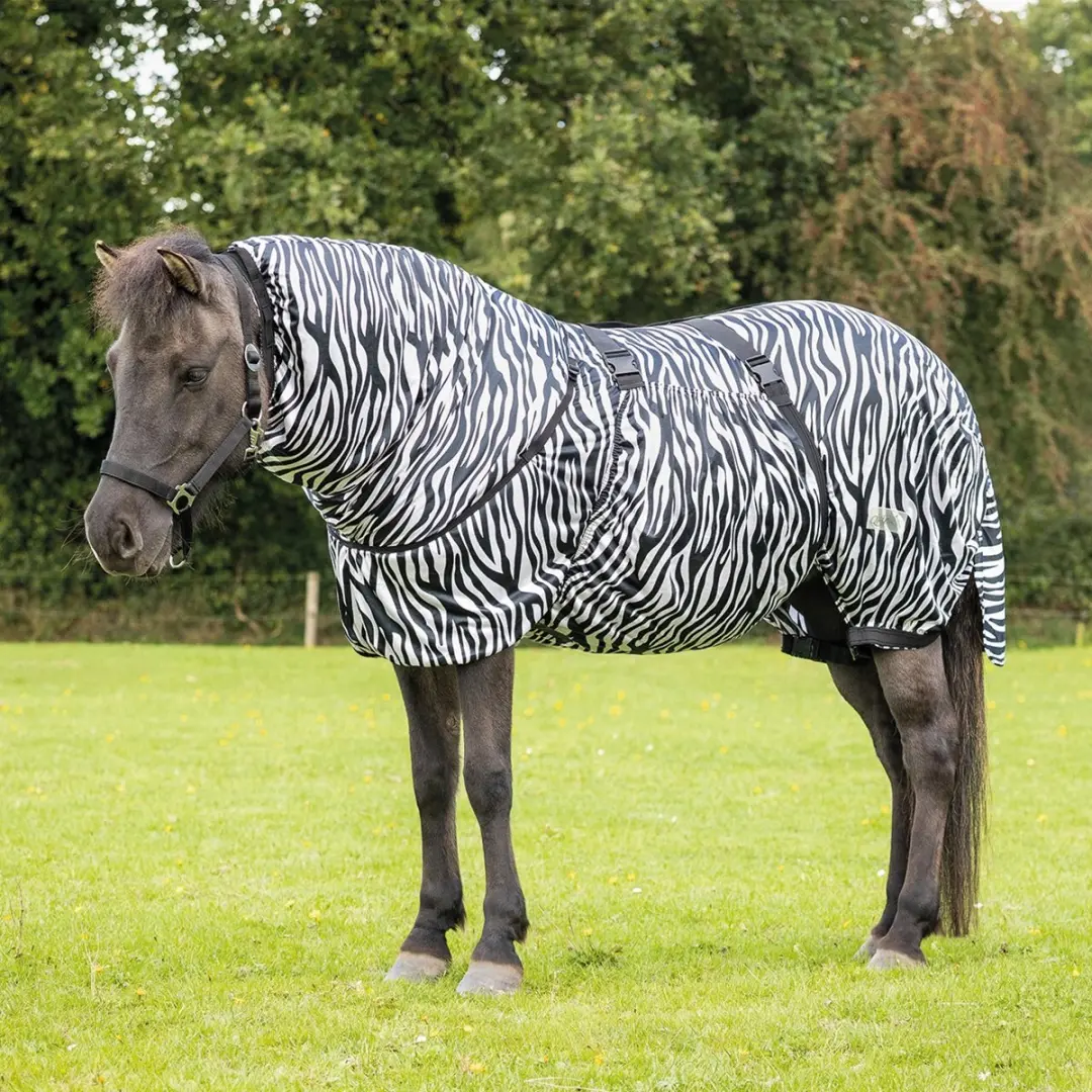 QHP ECZEEMDEKEN ICELANDIC Zebra