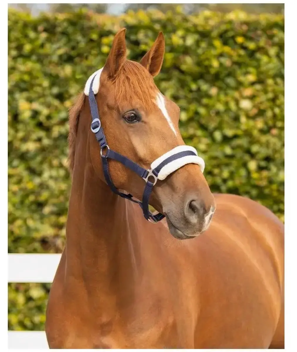 QHP Halster Cali Navy - Maat Pony