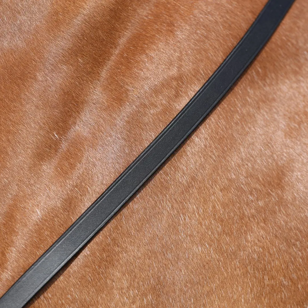 Epplejeck Dressuurteugel Gespsluiting Pony - Zwart