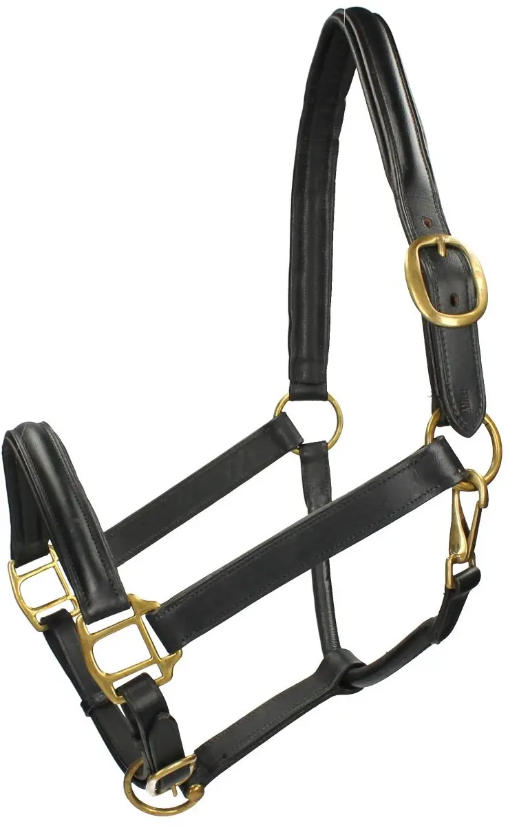 Epplejeck Jota Halster - Full - Zwart - afbeelding 3 van 6