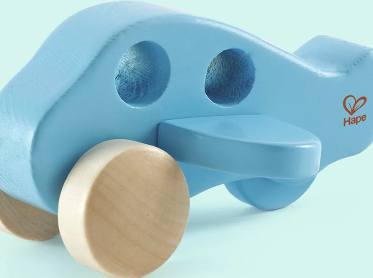 Hape Kleines Flugzeug E0050 Speelgoedvliegtuig - Veelkleurig