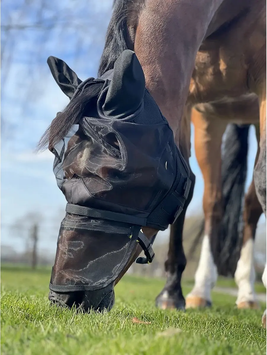 Horsegear Vliegenmasker HGAfneembare Neusflap - Zwart - 2 Stuks - afbeelding 6 van 6