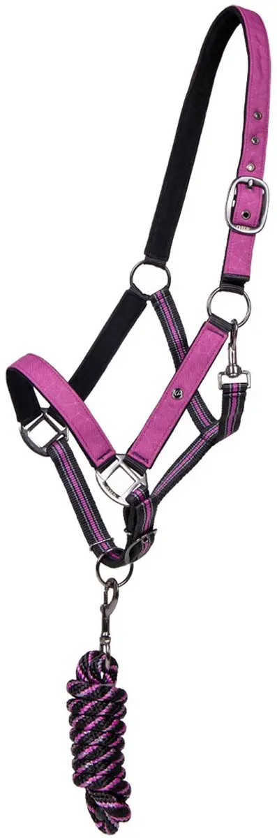 Epplejeck Ejtec Ride Kogelbeschermers - Cob - Zwart - afbeelding 6 van 6