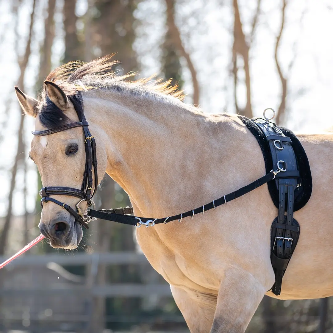 Horsegear Hgelastic Bijzetteugels Full