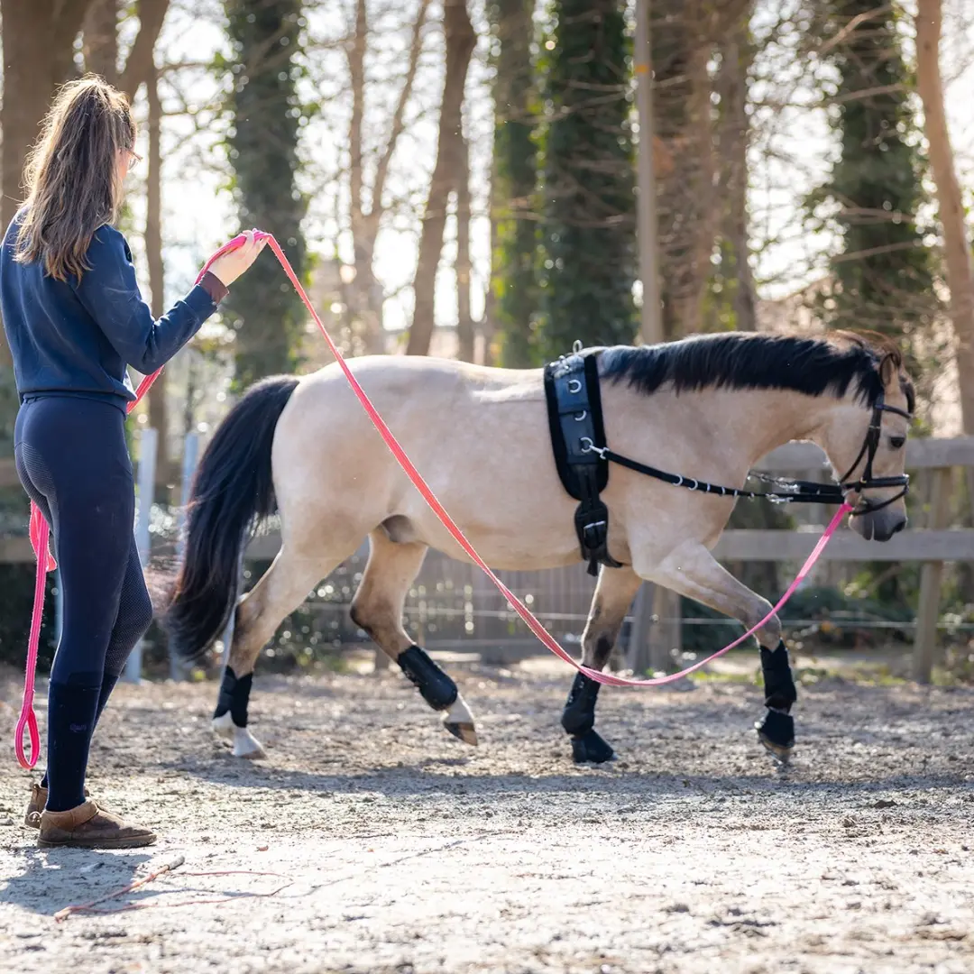 Horsegear Hgelastic Bijzetteugels Full - Zwart