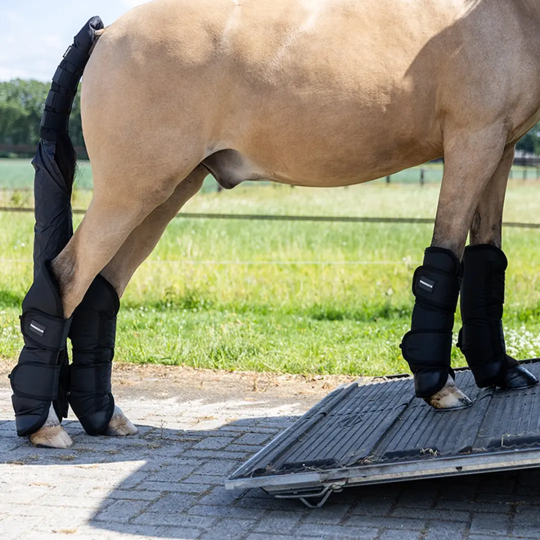 Horsegear HGTRAVEL Transportbeschermers Full - 2 Stuks - afbeelding 5 van 6