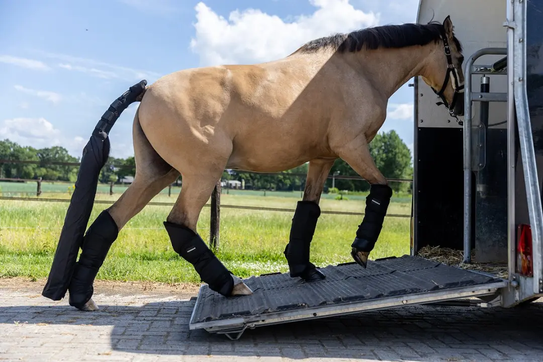 Horsegear HGTRAVEL Transportbeschermers Full - 2 Stuks - afbeelding 6 van 6