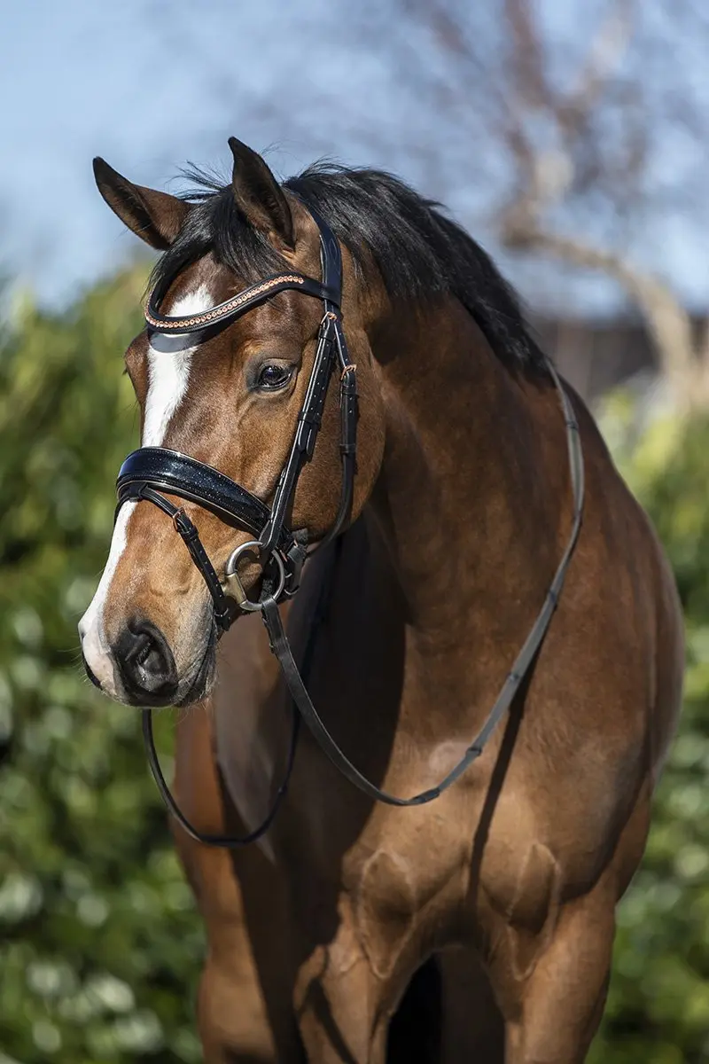 Horsegear Hoofdstel HGblush Pony