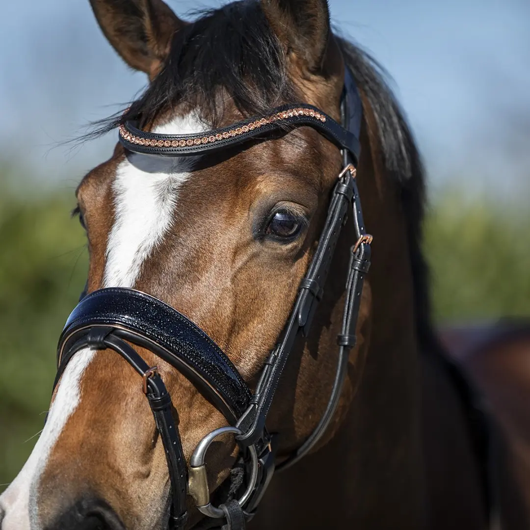 Horsegear Hoofdstel HGblush Pony - Zwart
