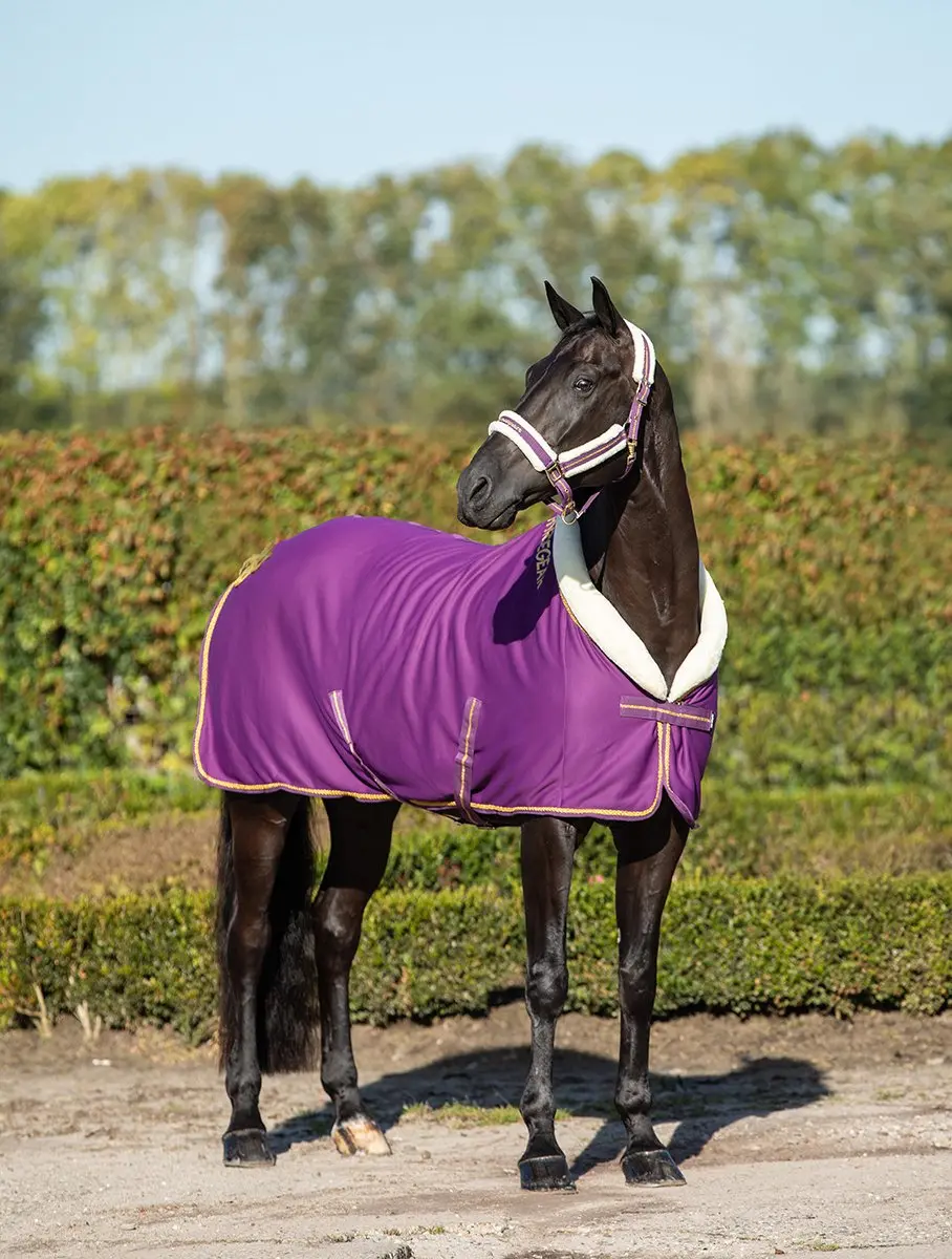 Horsegear Lyx Zweetdeken 155/205 - Paars