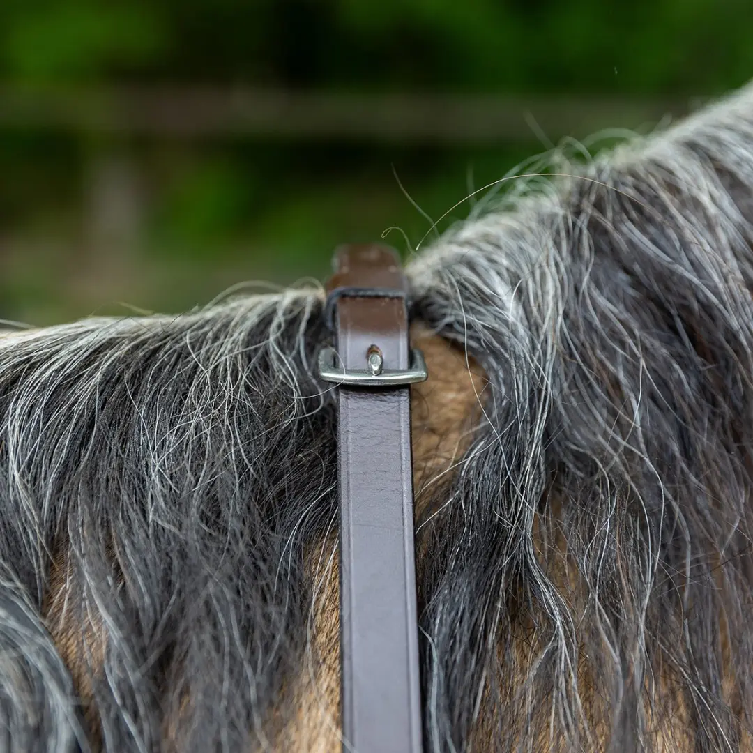 Horsegear Teugels HGsoft Rubber Full - Bruin