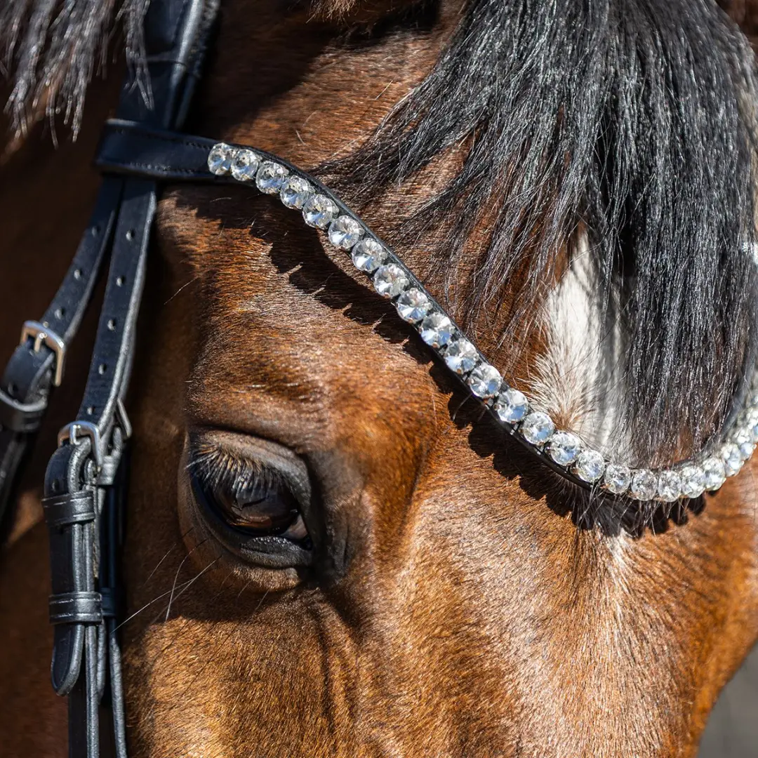 Horsegear Frontriem HGSalerno - Pony - Zilverkleurig