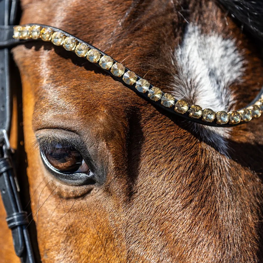 Horsegear HGSalerno Frontriem