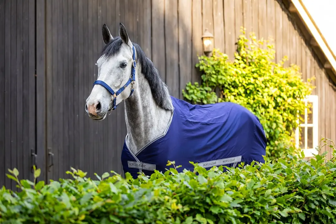 Horsegear Hglaval V2 Zomerdeken 135cm - Donkerblauw