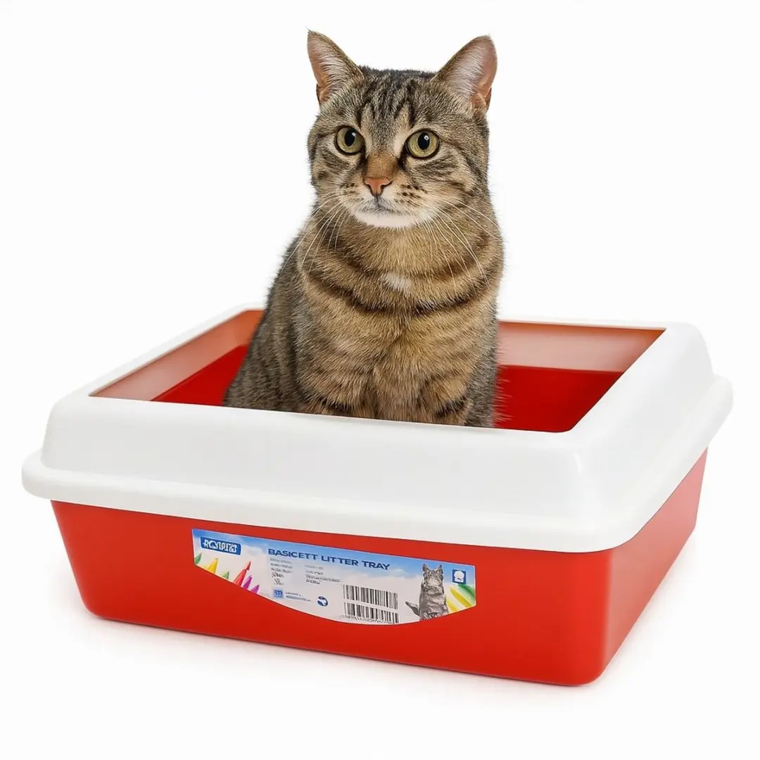 Nobleza Open Kattenbak 43x33x17cm