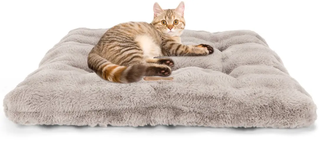 Nobleza Kattenkussen