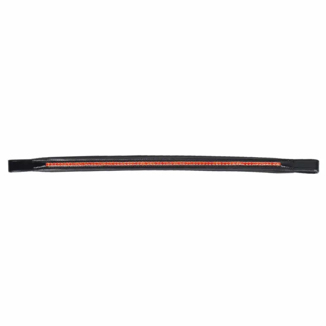 Pagony Arancione Frontriem Cob - Zwart