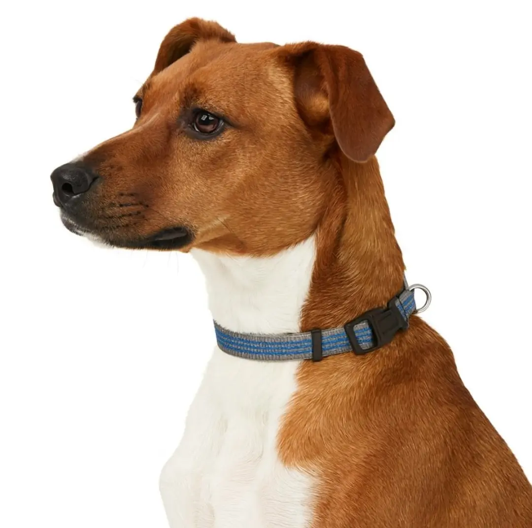 Nobleza Reflecterende Hondenhalsband