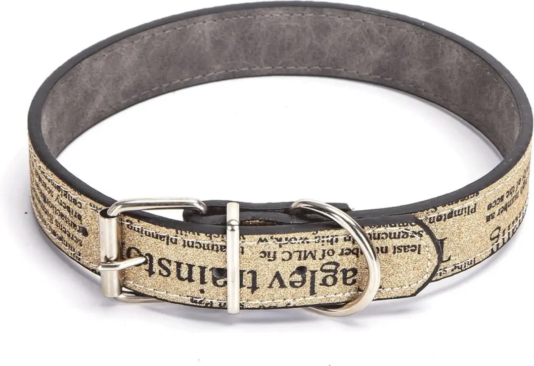 Nobleza Hondenhalsband met glitters en letterprint