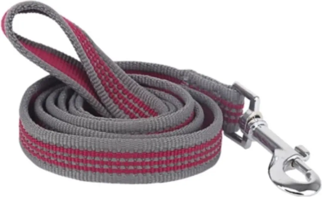 Nobleza Hondenriem Reflecterend Nylon 120cm