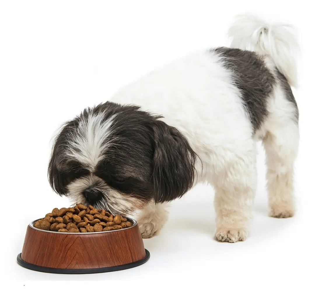 Nobleza Honden- & Kattenvoerbak RVS