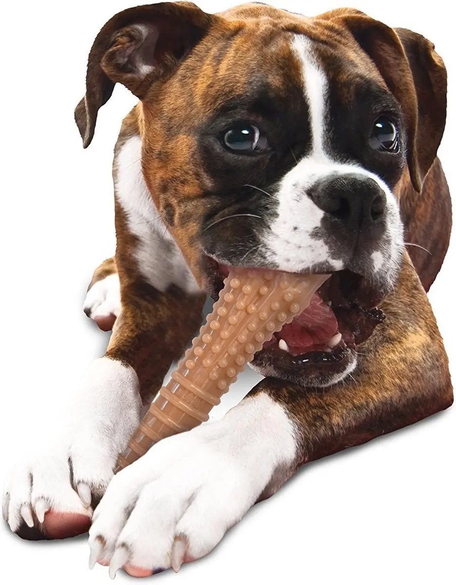 Nylabone Durable Kauwbot - 15 Kg - Multi