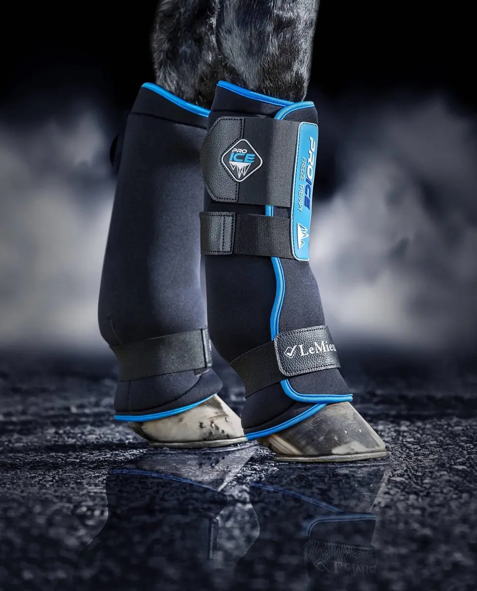 Lemieux ProIce Freeze Boots