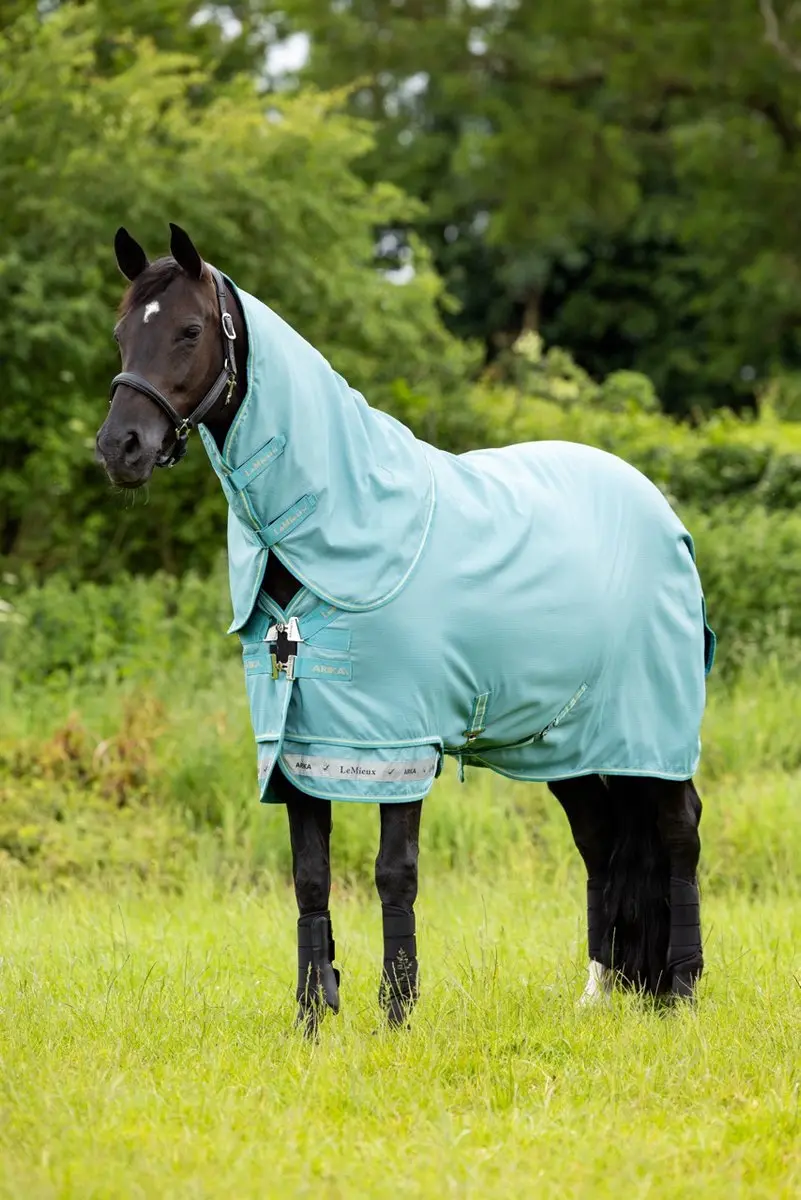 LeMieux Arika Ripstop 0g Regendeken Lagoon SS25 170 Lagoon