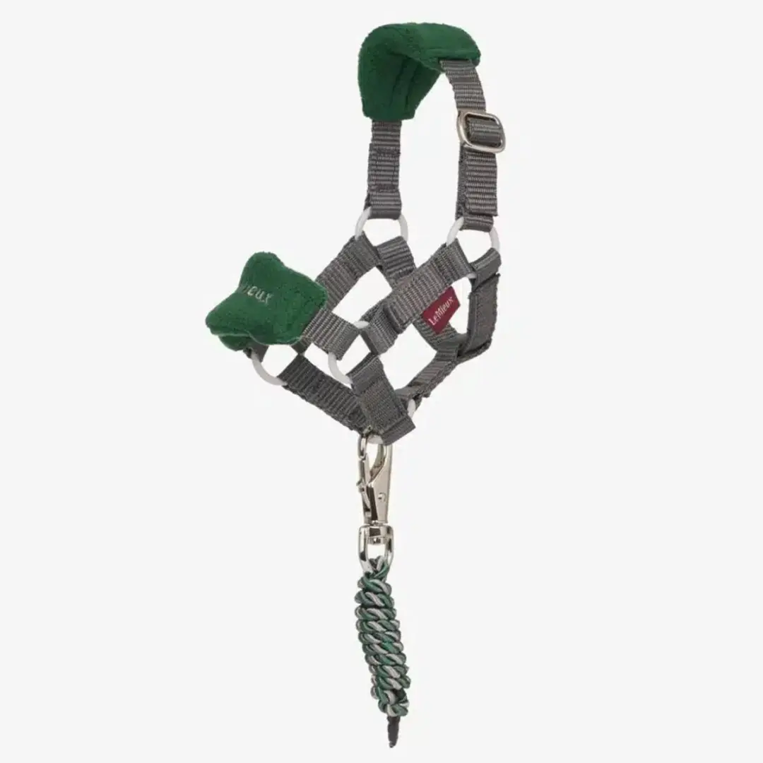 Lemieux Toy Pony Vogue Headcollar - Chilli - afbeelding 4 van 4
