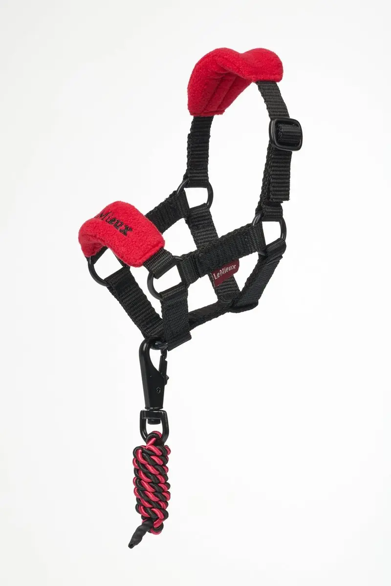 Lemieux Toy Pony Vogue Headcollar - Chilli - afbeelding 3 van 4