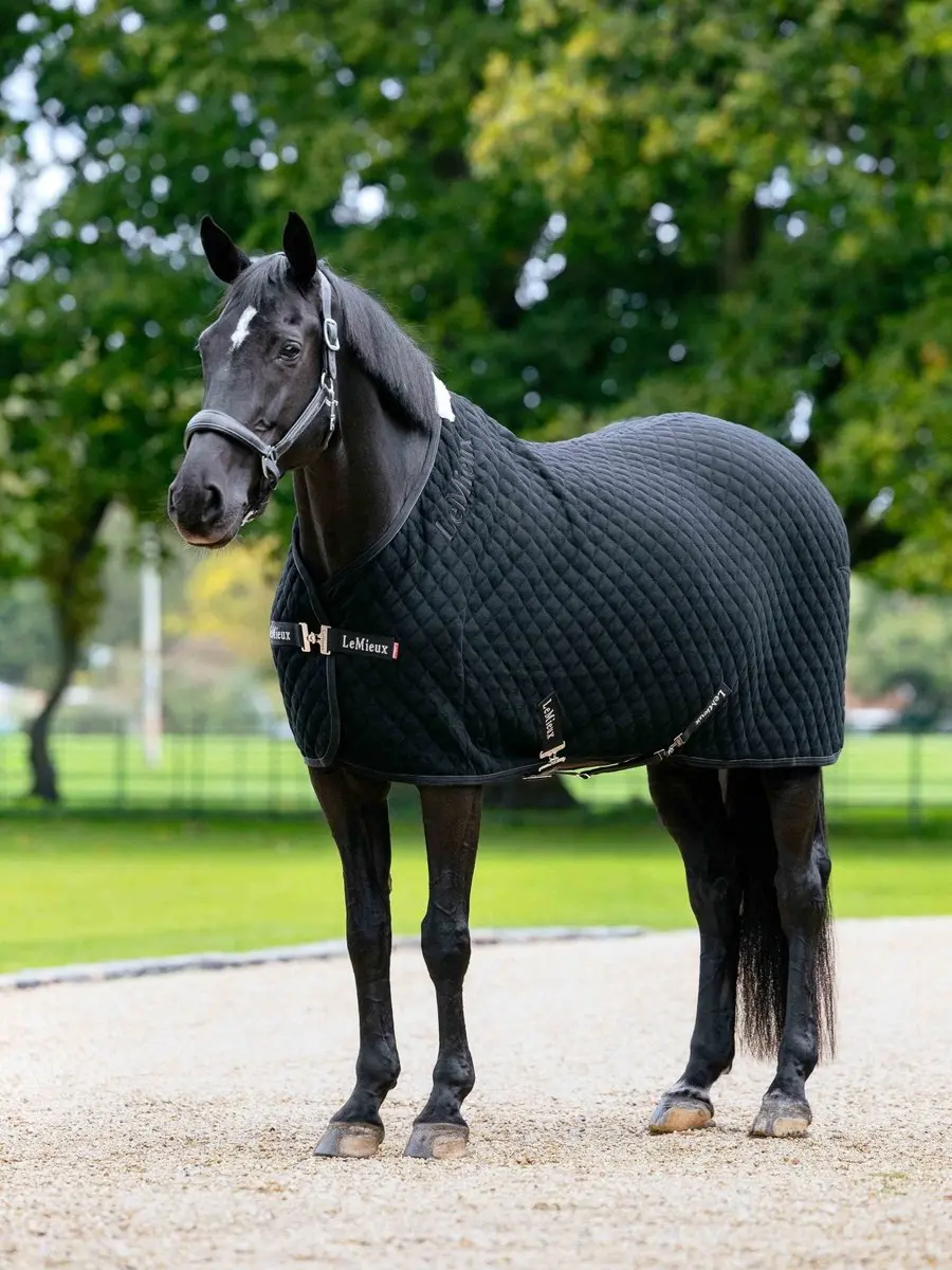 Lemieux Arika Clima-Tek Rug