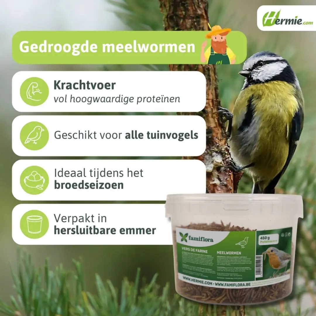 Famiflora Meelwormen 450g