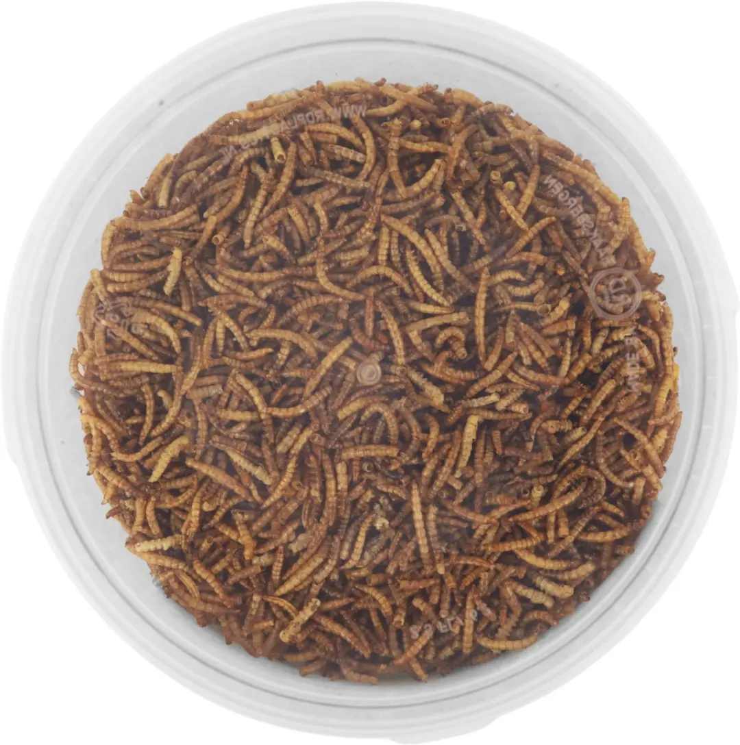 Famiflora Meelwormen 450g - Hersluitbare Emmer
