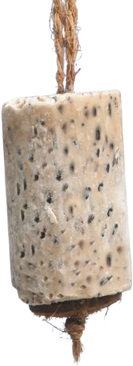 Famiflora Vetcilinder Zonnebloempitten 350g