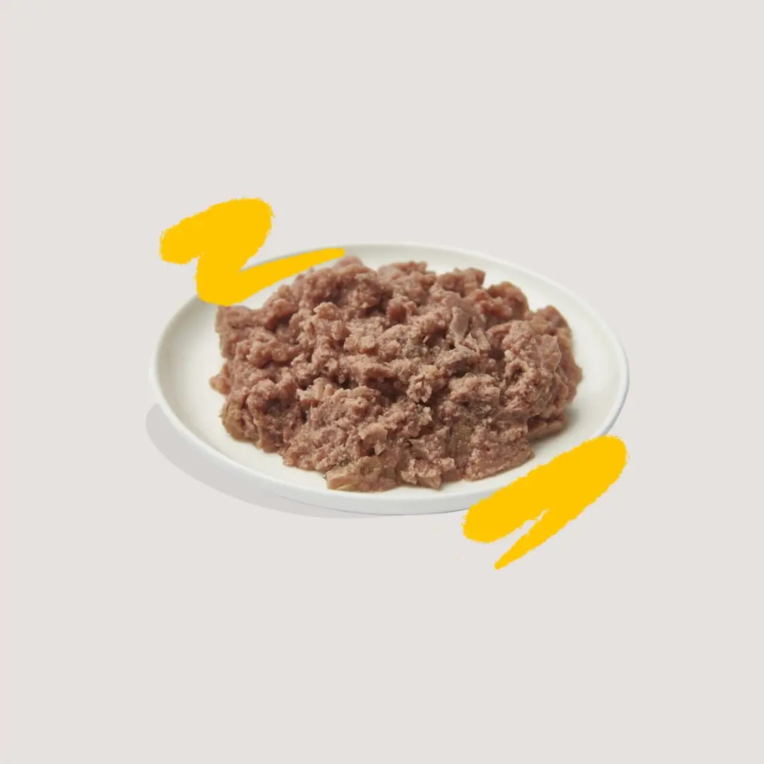 Edgard & Cooper Adult Paté Kalkoen Kattenvoer 85g