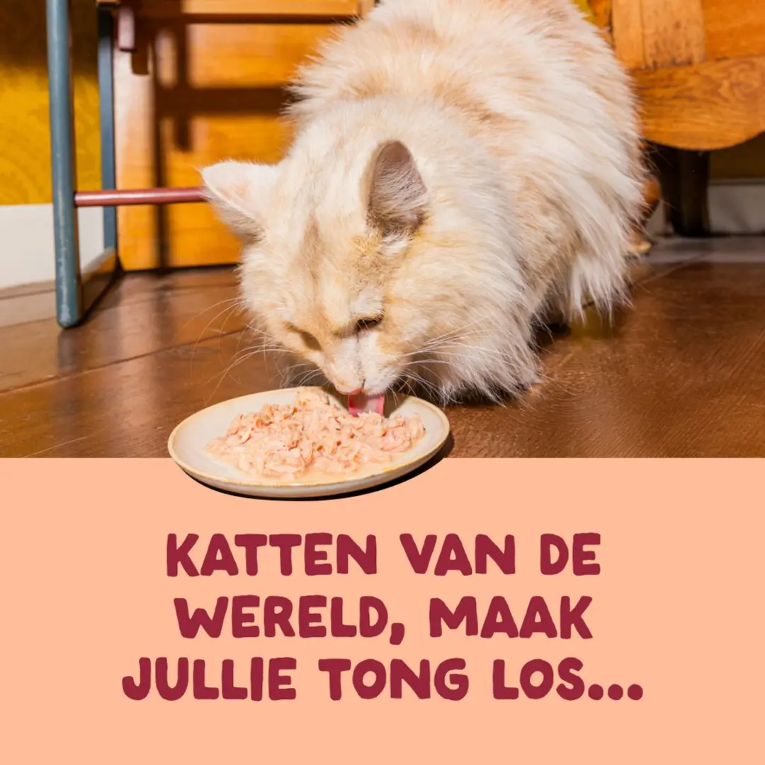 Edgard & Cooper Kat Natvoeding Kattensnoepjes Kip - 70g