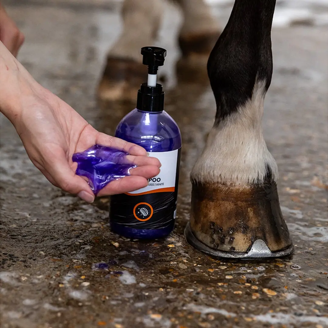 Epplejeck Paardenshampoo White Horse Wit - 2 Stuks