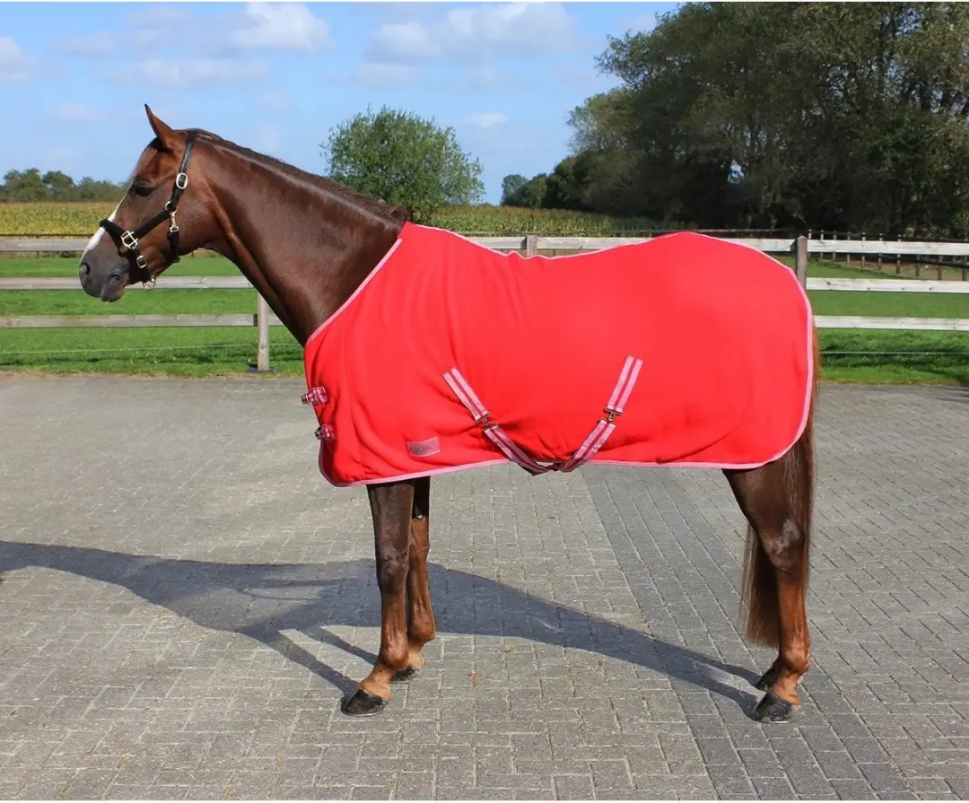 QHP Zweetdeken Color Rood - 50