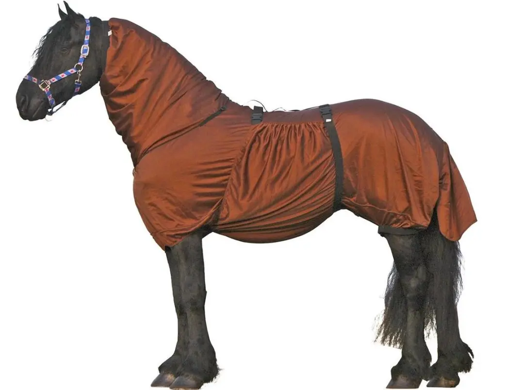 QHP Eczeemdeken Fries Bruin - 175cm