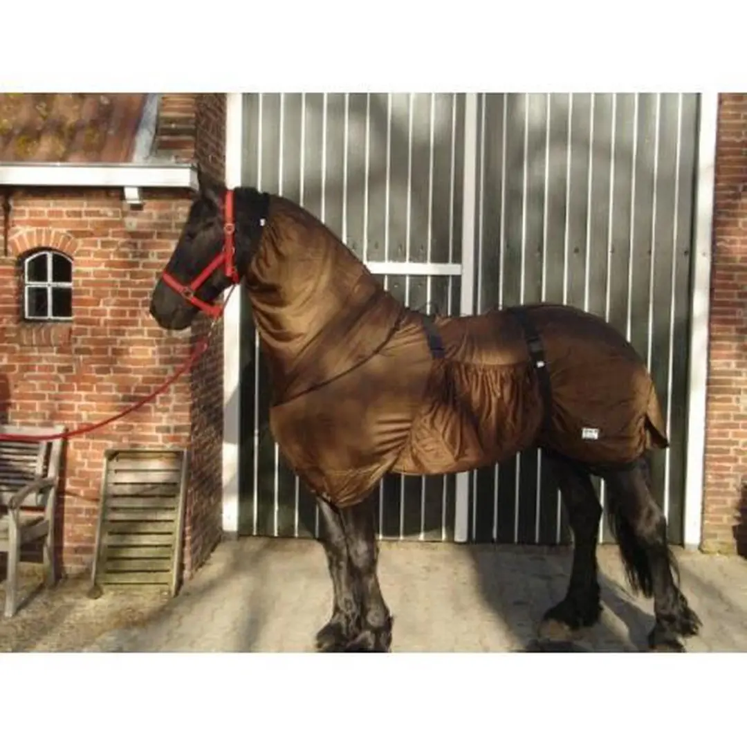 QHP Eczeemdeken Fries Bruin - 175cm
