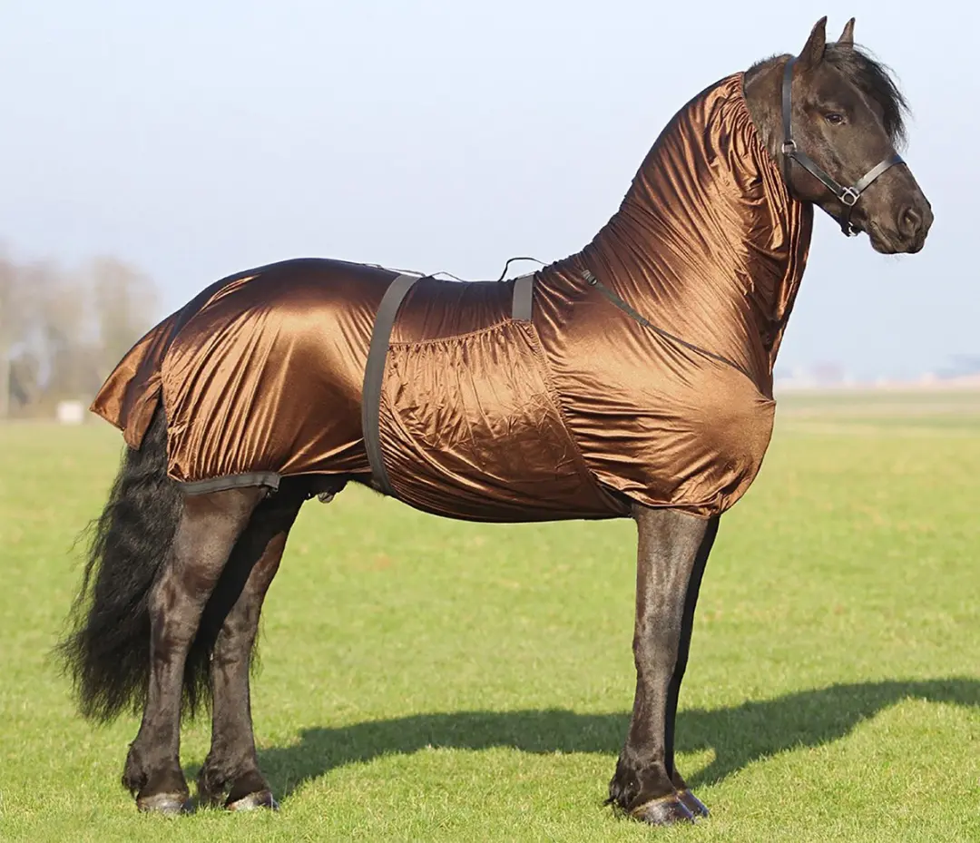 QHP Eczeemdeken Fries Bruin - 175cm