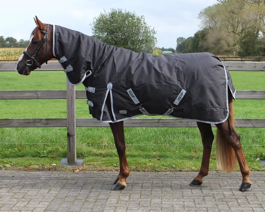 QHP Turnoutdeken Vaste Hals 300g - 205cm - Navy