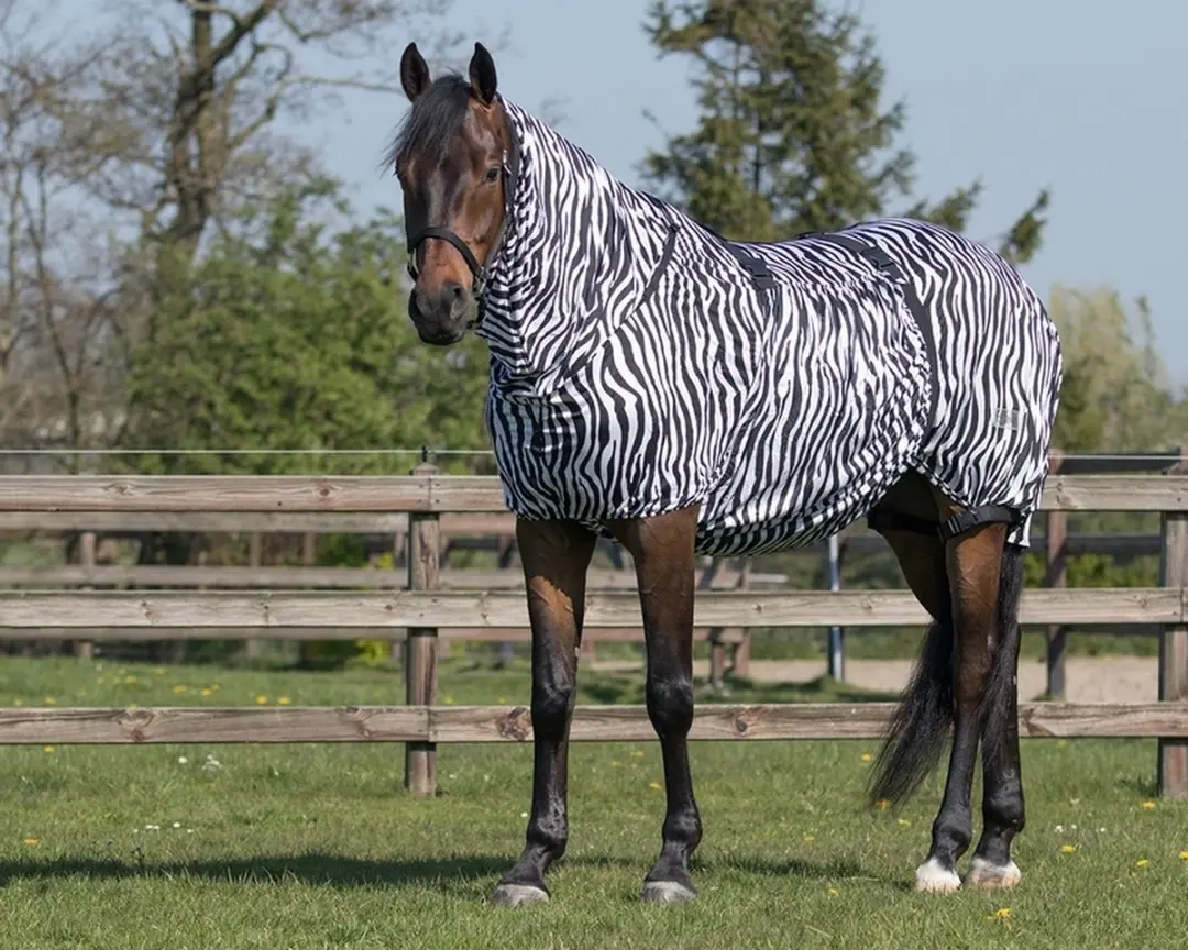 QHP Eczeemdeken Q-Essentials Zebra 85