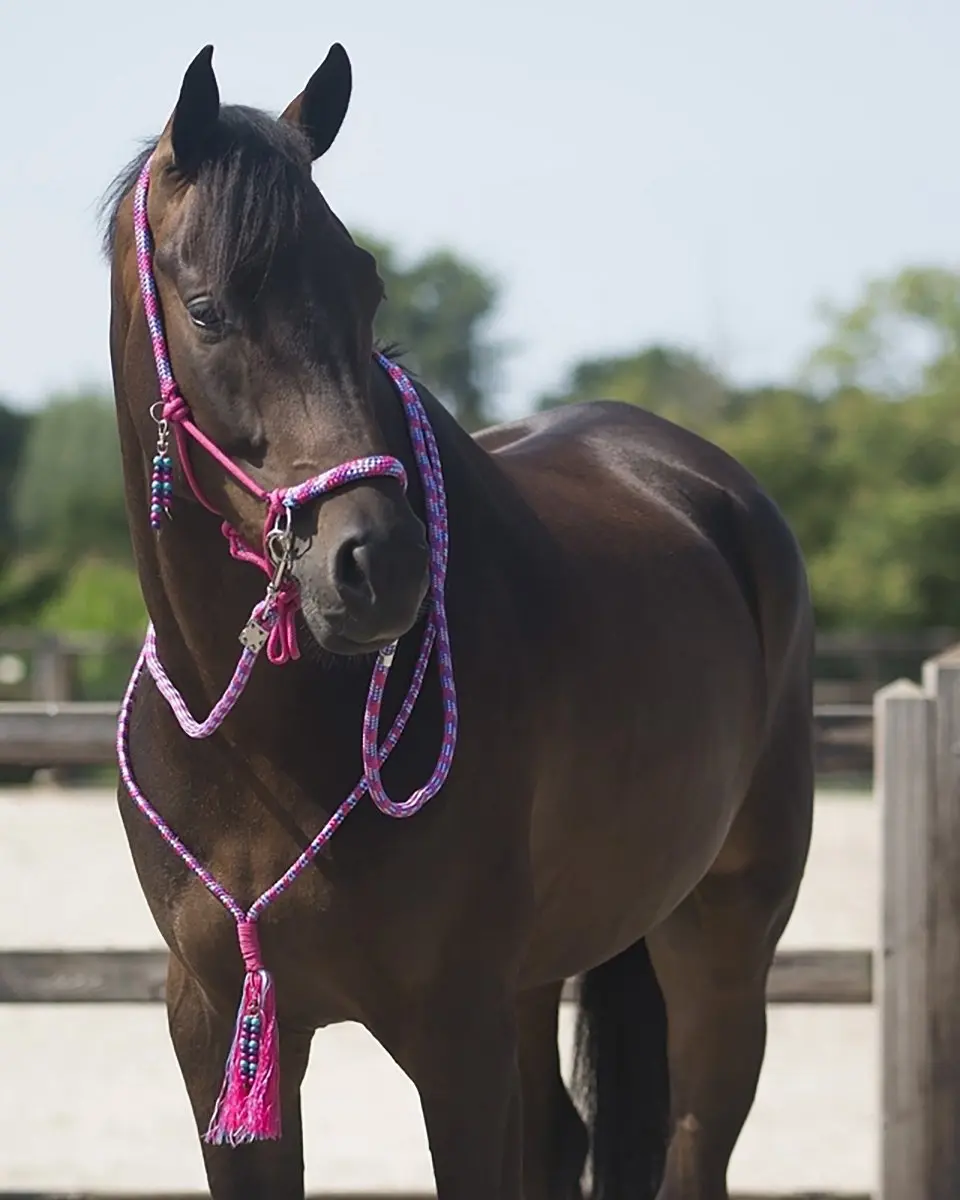 QHP Touwhalster Combi Liberty Rood - Cob