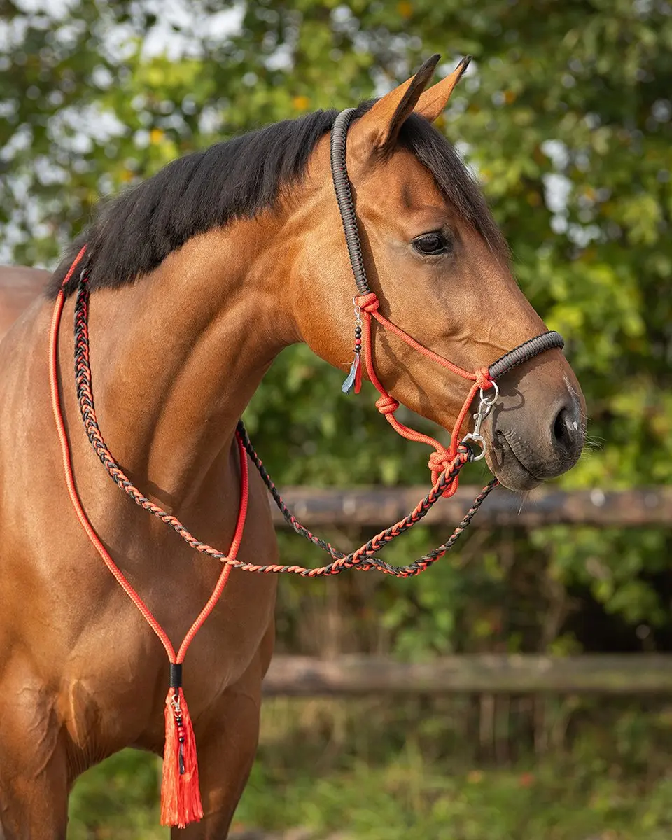 QHP Touwhalster Combi Liberty Rood - Cob