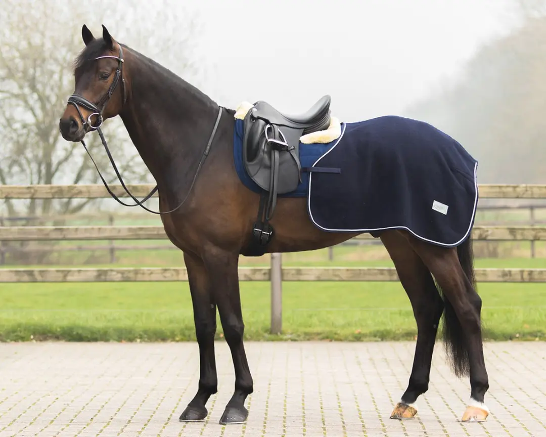 QHP Uitrijdeken Wol Quarter Navy XL